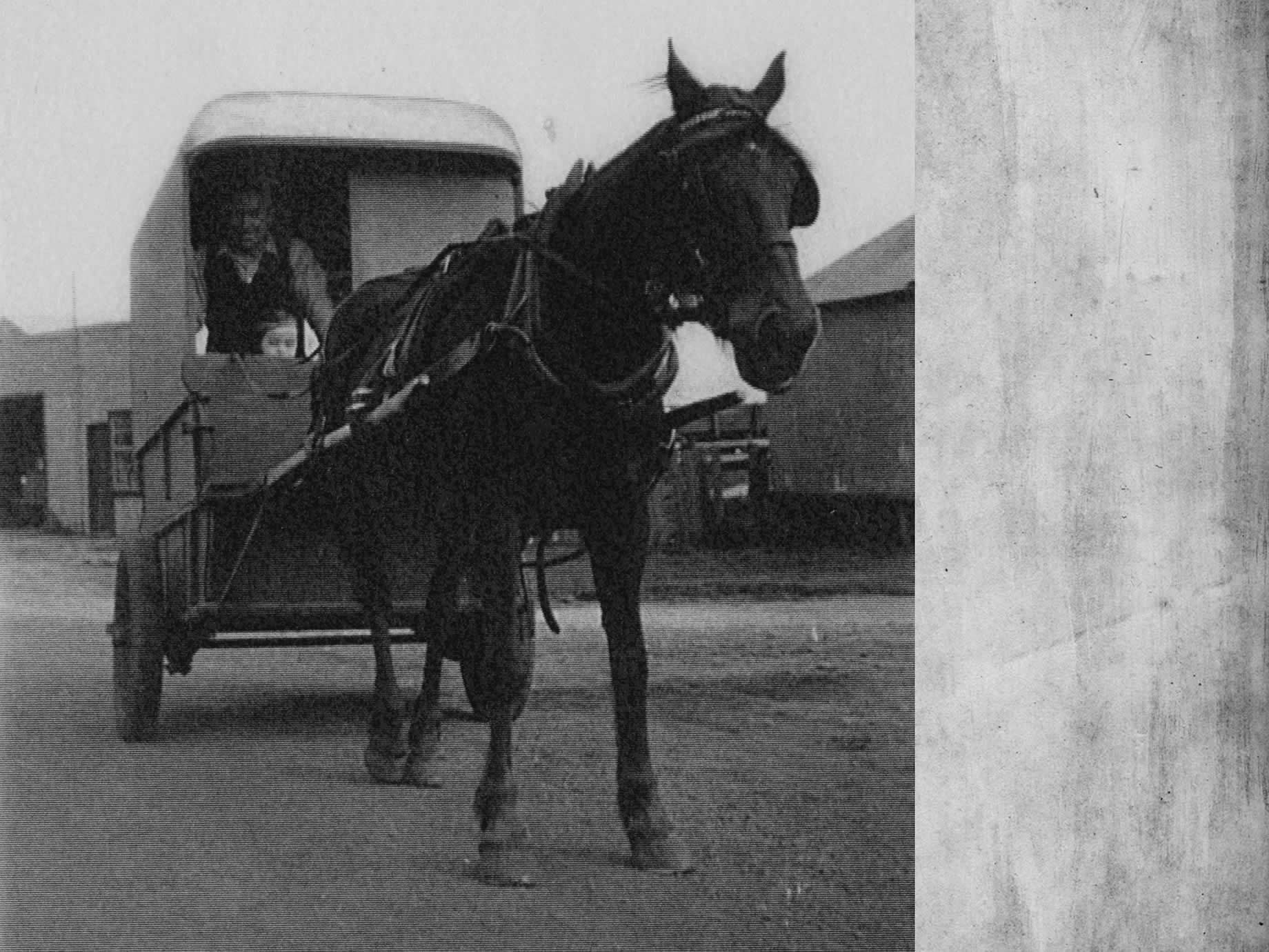 Der Milchmann Jack Smith bei der Auslieferung im Ort, 1950